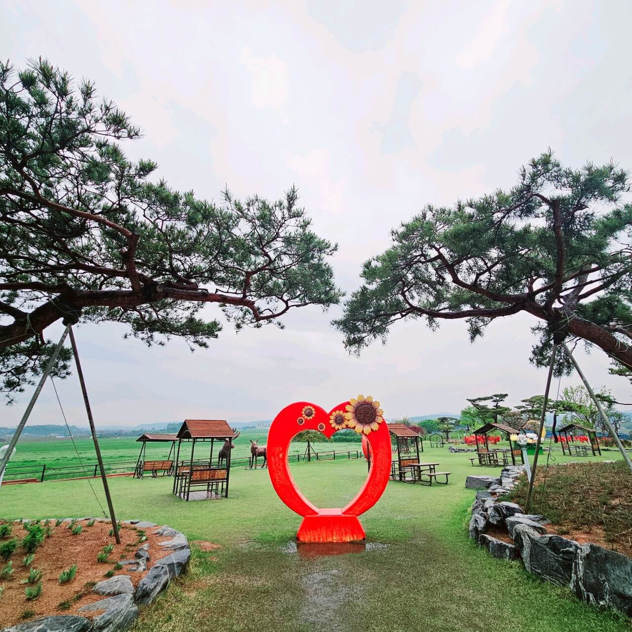 생생정보 미스터 Lee의 사진 한 컷 충남 서산 카페 힐링명소 서산목장카페 생생정보 2295회
