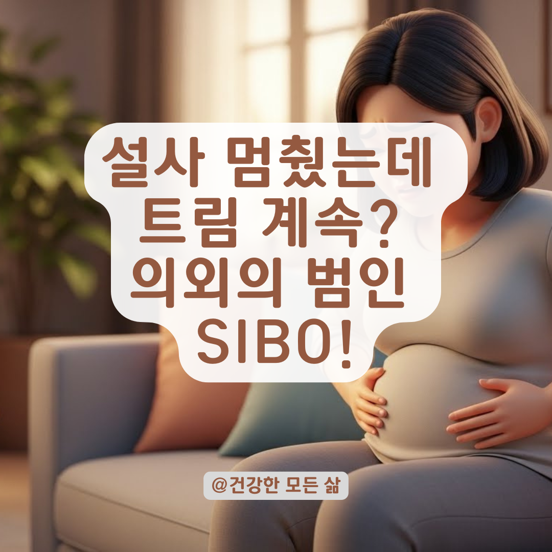 물설사 후 멈추지 않는 트름과 더부룩함? 의외의 원인 SIBO와 대처법