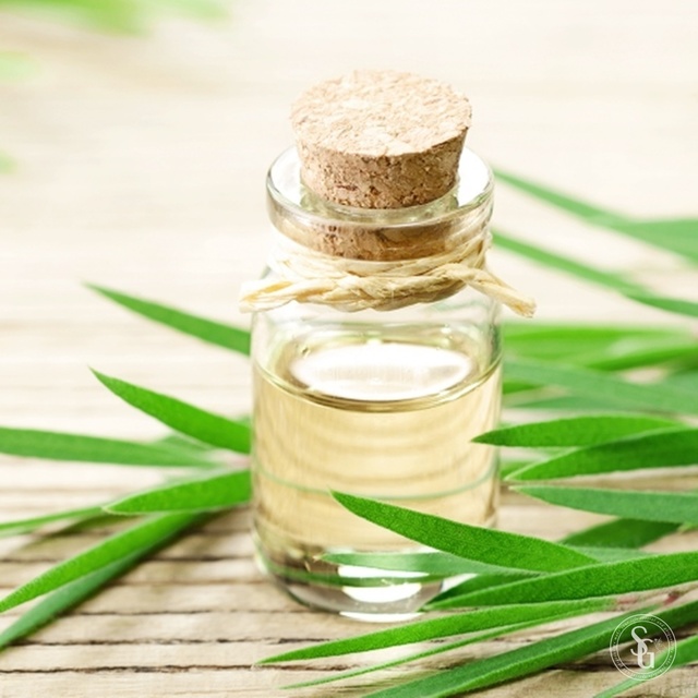 천연 오일의 종류와 효능