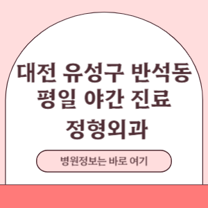 대전 유성구 반석동 평일 야간진료 정형외과 진료 병원