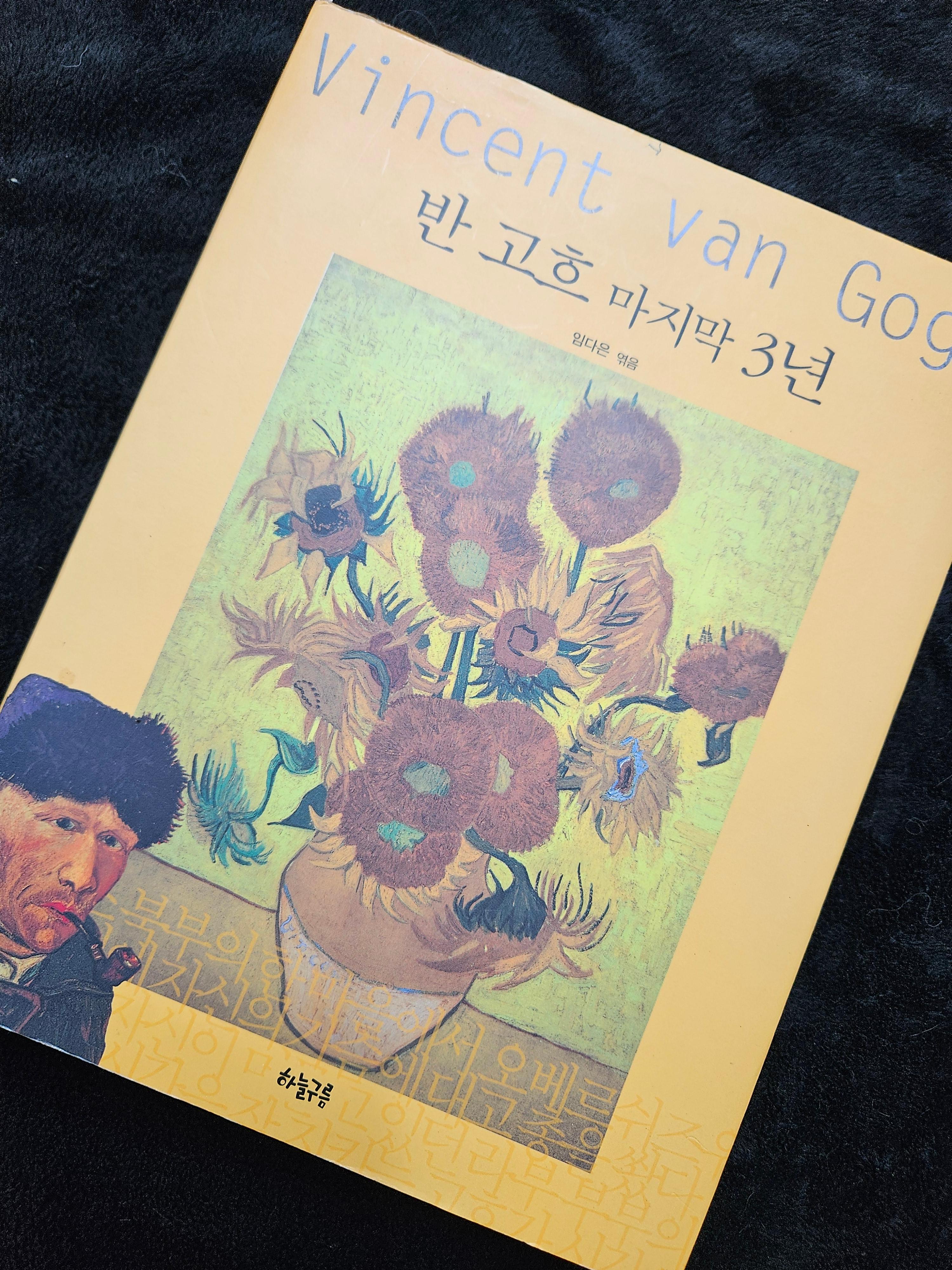 반 고흐 마지막 3년 책표지 사진