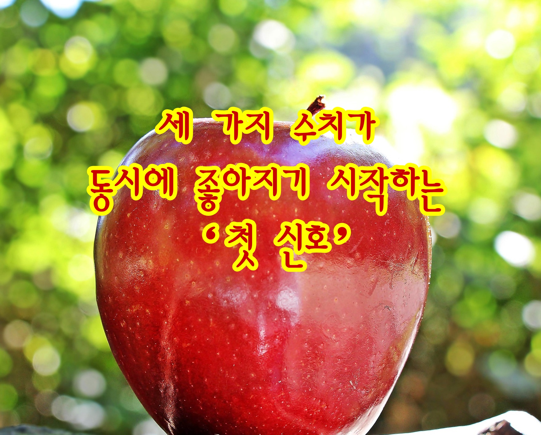 세 가지 수치가 동시에 좋아지기 시작하는 &lsquo;첫 신호&rsquo;