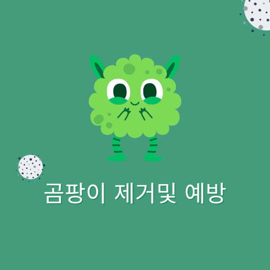 곰팡이 제거 및 예방