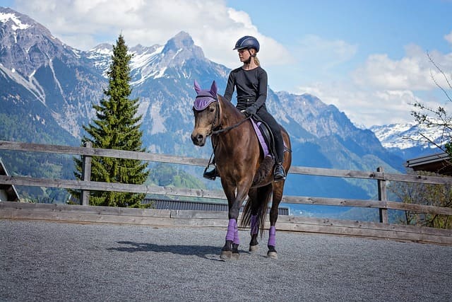 2025년 한국마사회 힐링승마 지원사업&amp;#44; 놓치면 후회할 혜택 총정리!