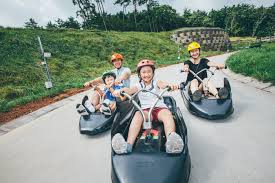 강화도 루지월드