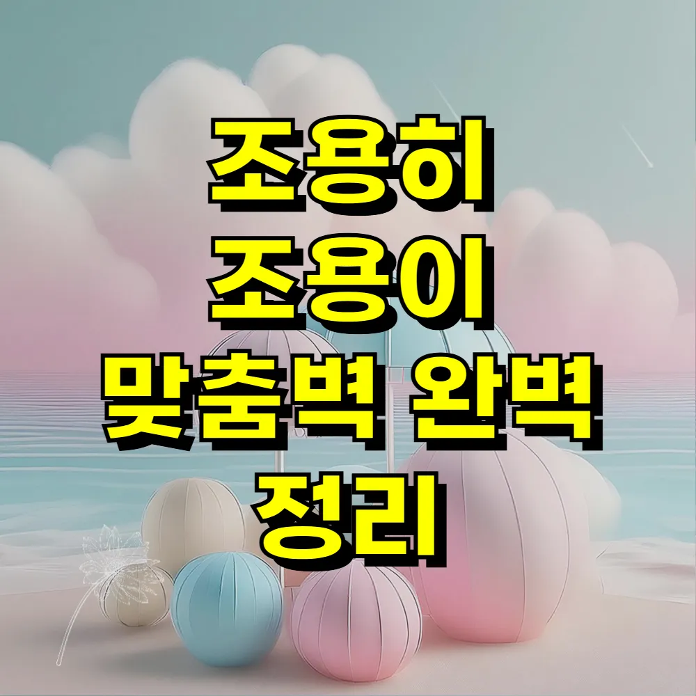 조용히 조용이 맞춤벽 완벽 정리