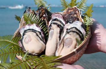 2024년갑진년청룡의해월별건강이야기