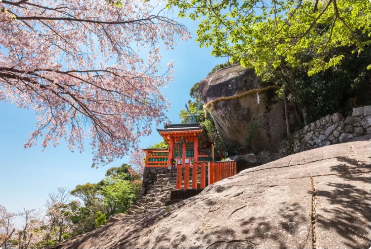 와카야마현 여행기: 자연과 전통이 어우러진 간사이의 숨은 보석