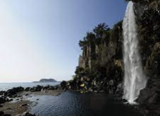 ISFP 유형 특징 분석