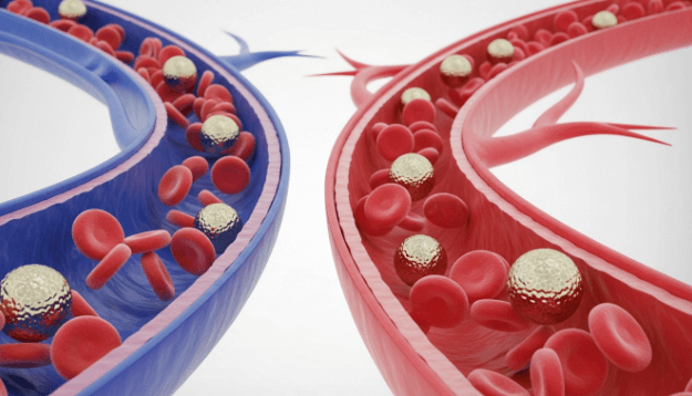 HDL콜레스테롤-혈관건강-검사