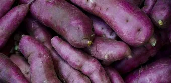 고구마 삶는법 맛있게 황금레시피 효능 칼로리_17