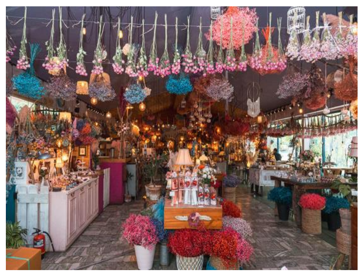 서해 금빛열차 보령