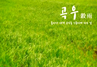 곡우 뜻 | 24절기 정리