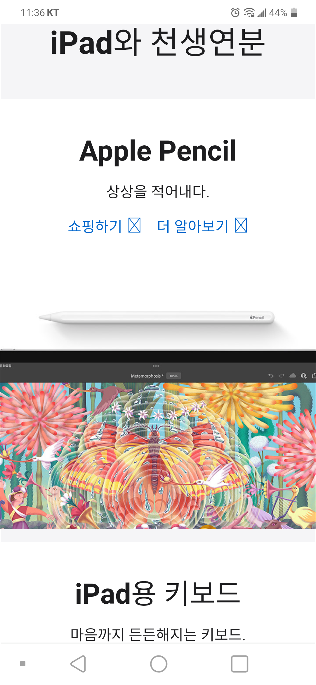 액세서리