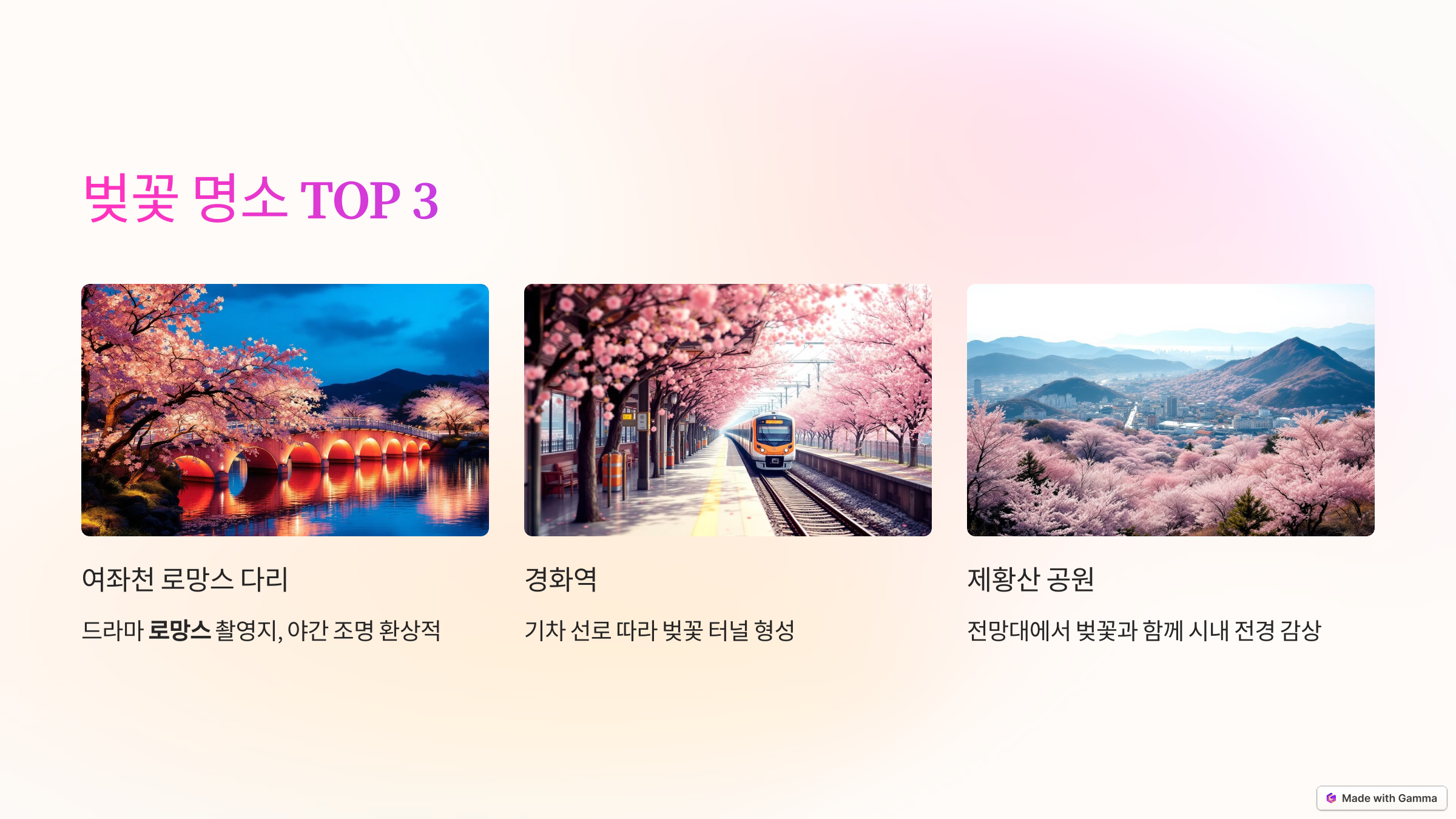 벚꽃 명소 TOP 3