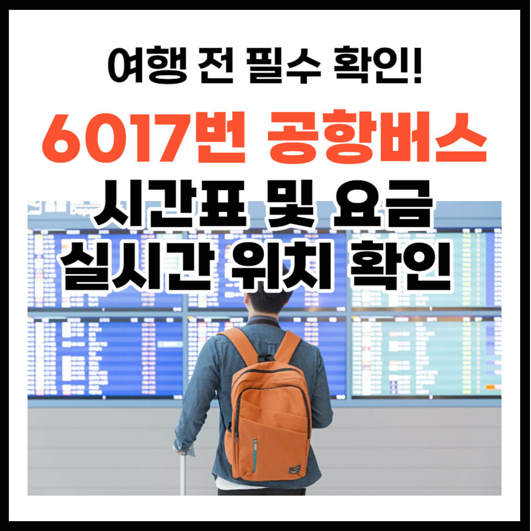 6017 공항버스 시간표 및 요금, 실시간 위치 확인
