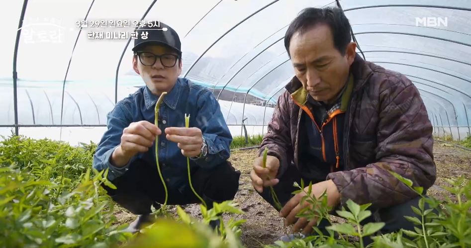 알토란 미나리솥밥 미나리오리구이 미나리무침