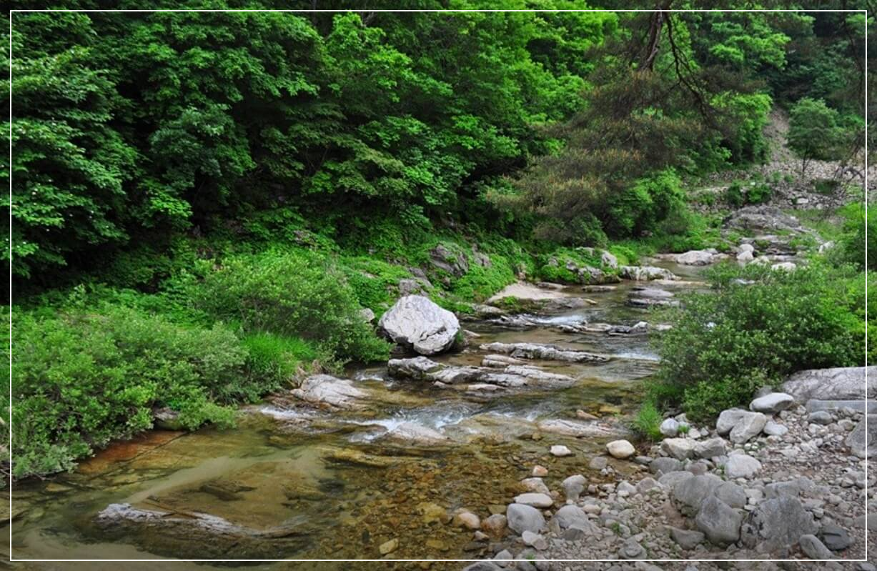 홍천 가볼만한곳 베스트10 용소계곡