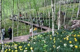 2024 화담숲 예약 가이드