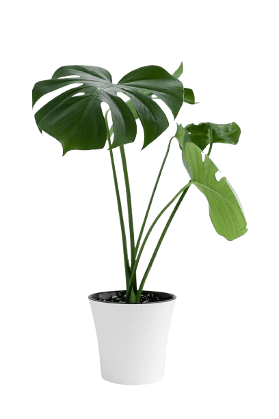 무료- 누끼따기- 사이트- 추천