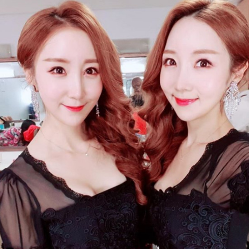 윙크 가족