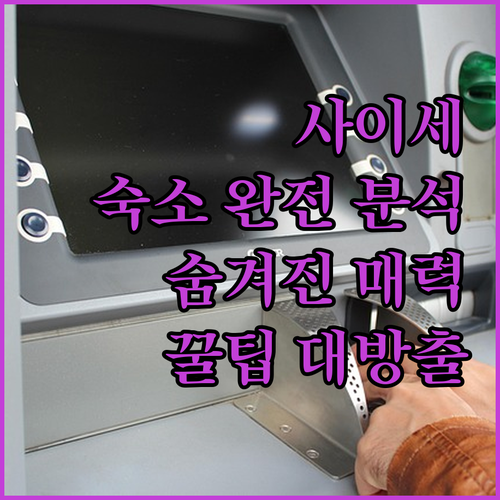 Saise Guesthouse & R..