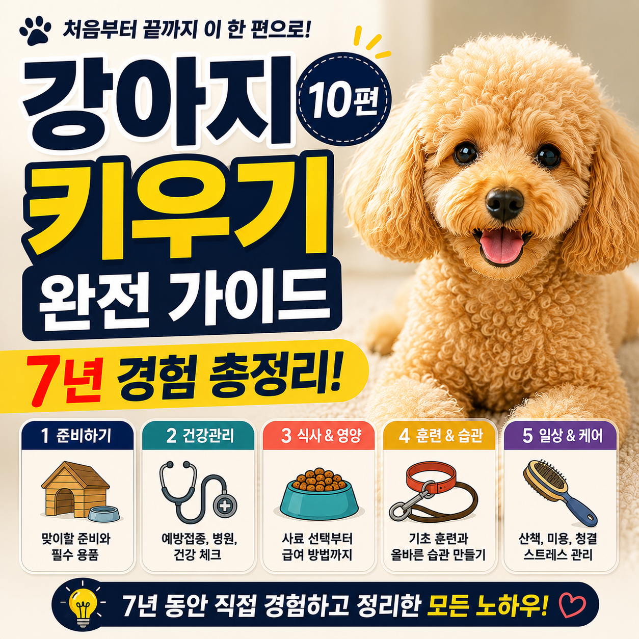 강아지 키우기 완전 가이드 10편, 7년 경험 총정리