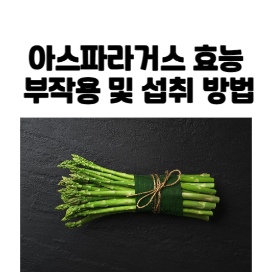 아스파라거스 효능과 부작용 및 섭취 방법