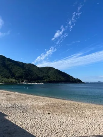 비진도 배시간표 예매 요금 배편 예약_11