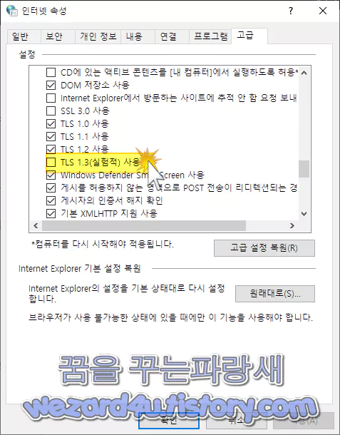 인터넷 속성 TLS 1.3 사용