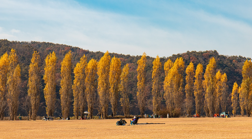 강원도 자연여행