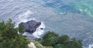 부산 태종대 수국축제