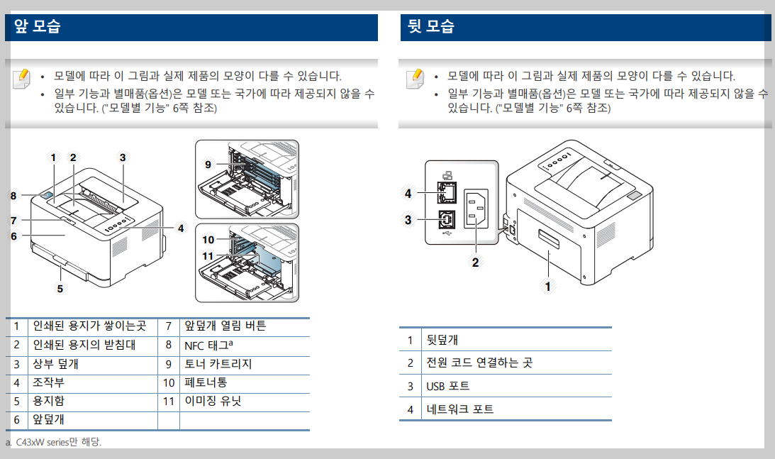 앞모습 및 뒷모습