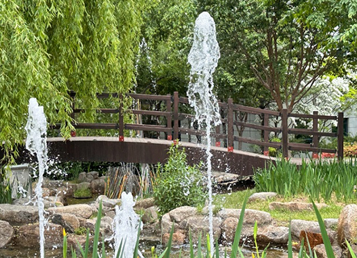 대구 이현공원 수국 개화