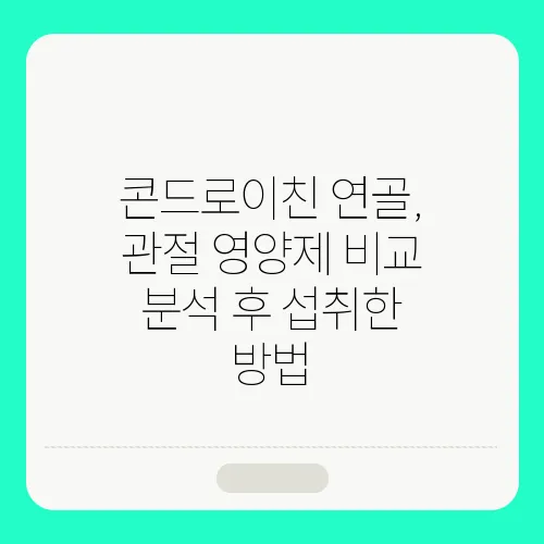 콘드로이친 연골, 관절 영양제 비교 분석 후 섭취한 방법