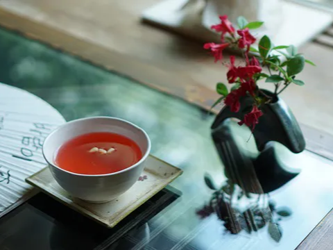 면역력 유지에 도움을 주는 오미자