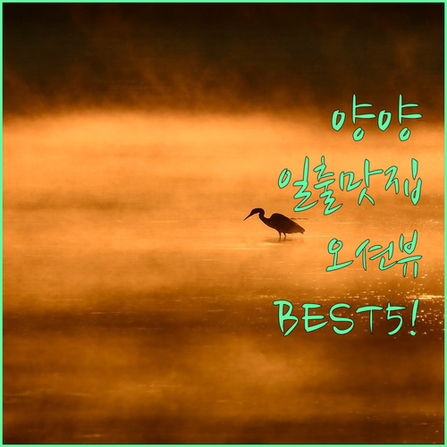 양양 낙산해변 일출 맛집 오션뷰 호텔..