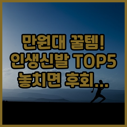 만원대 남자 런닝화 숨겨진 보물 별점..