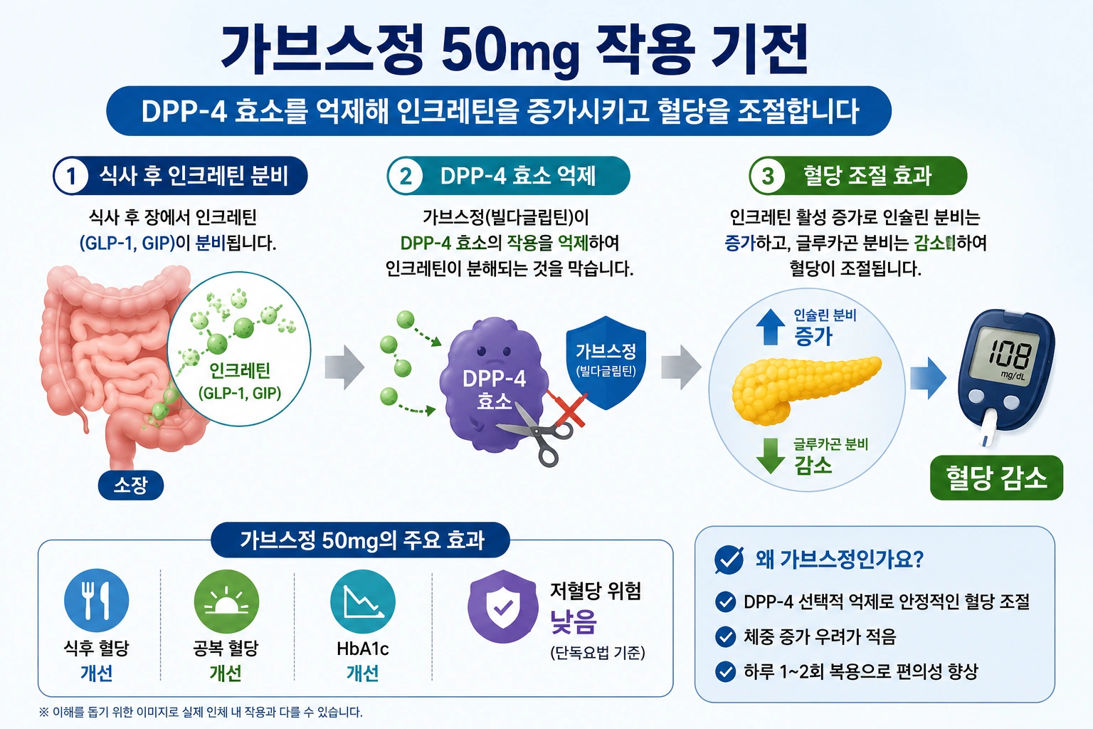 02_작용기전_가브스정