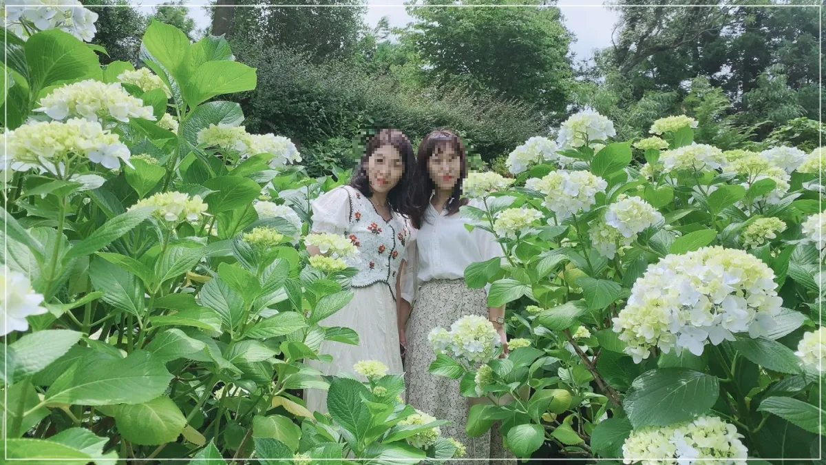 흰색수국_여자2명_나무-정원