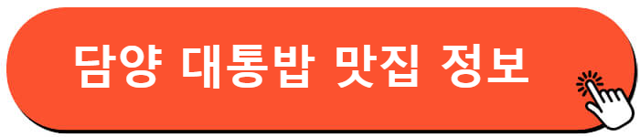 담양 현지인 맛집