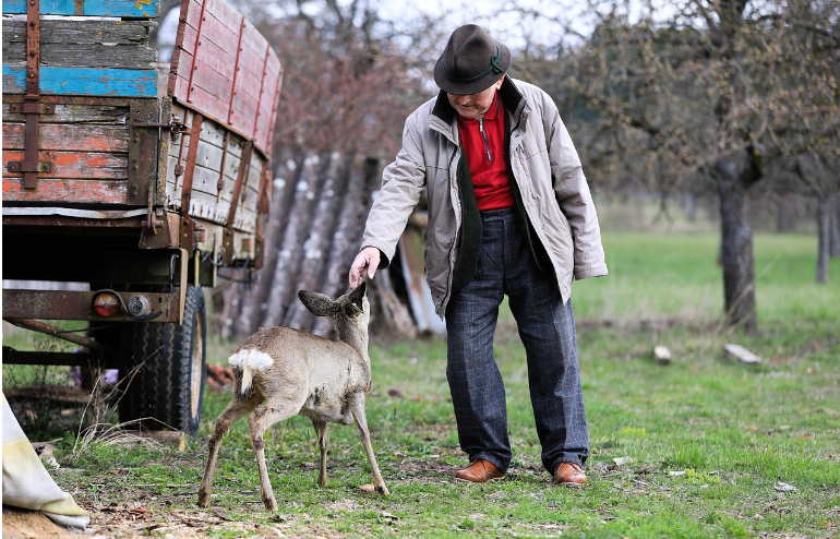 국민연금 임의가입 국민연금 임의가입 금액 자세히 알아보기