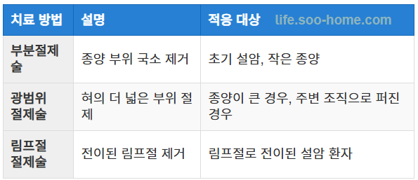 수술 치료