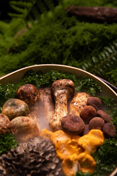 chamsongi-vs-pine-mushroom.jpg
