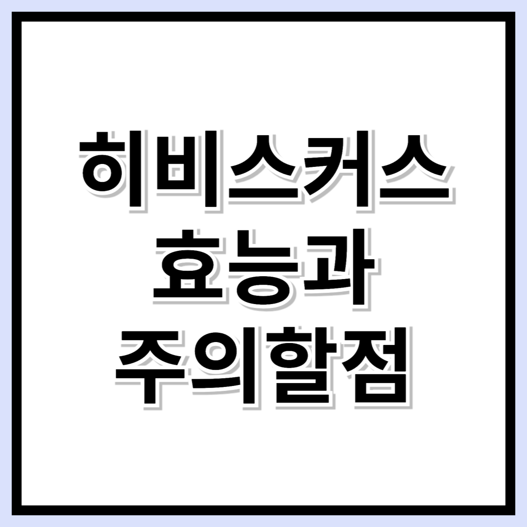 커피·녹차는 이제 그만! 히비스커스 티 효능부터 활용법까지 한눈에