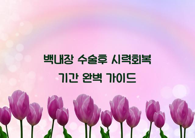 백내장 수술후 시력회복 기간