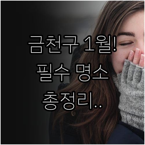 서울 금천구 1월 주요 명소 특징 및..