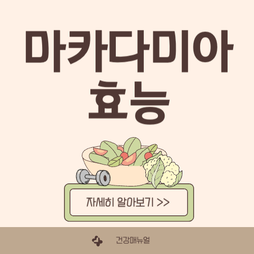 마카다미아 효능,부작용 및 섭취량 등 총정리