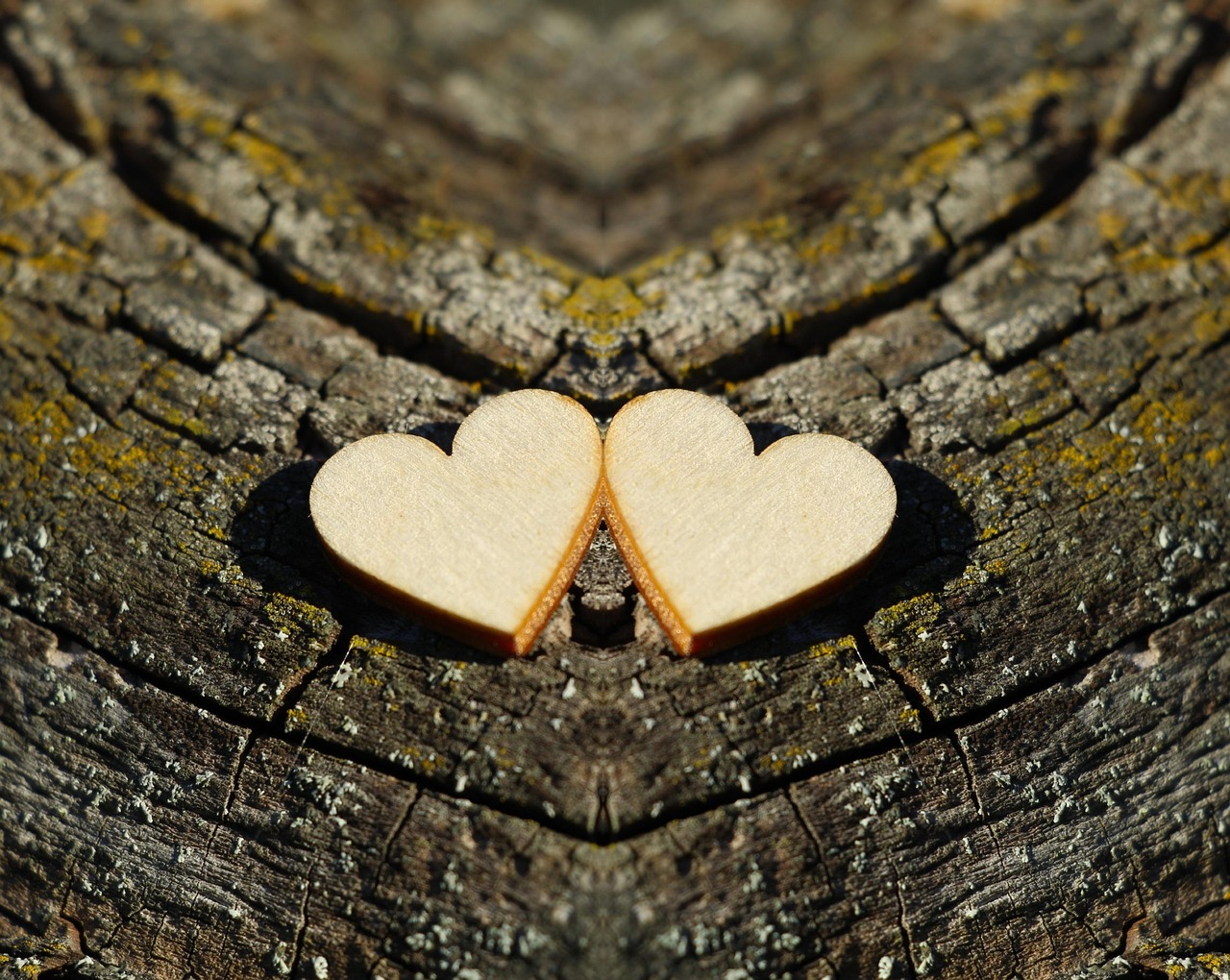 부부의날의 유래와 의미