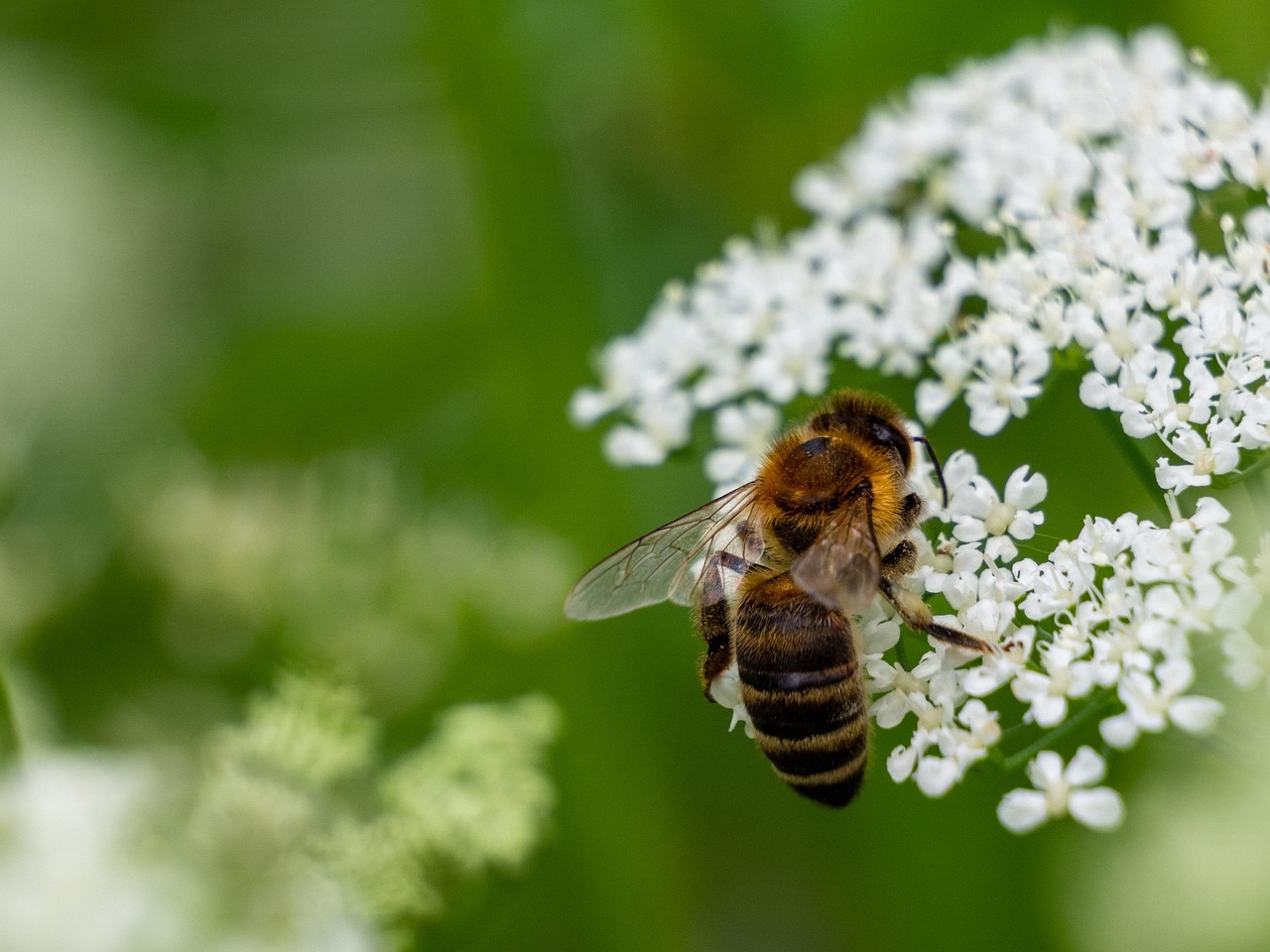 &ldquo;서울&middot;경기&middot;부산 주민 필독! 2025 민생회복지원금 최신 정보 공개&rdquo;